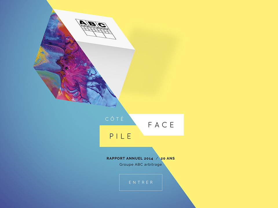 projet ABC - rapport annuel 2014